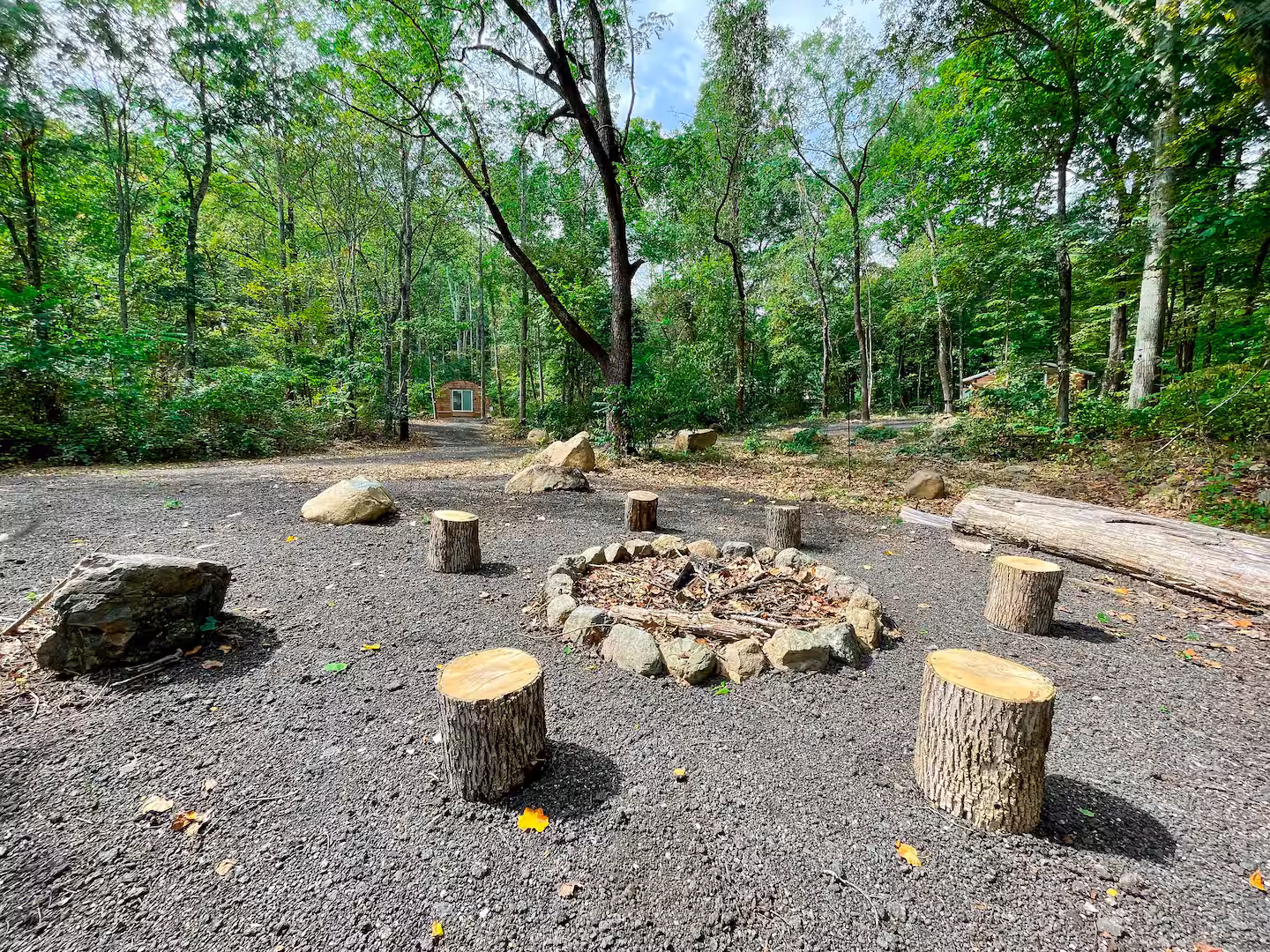 Bear Cabin thumbnail 7