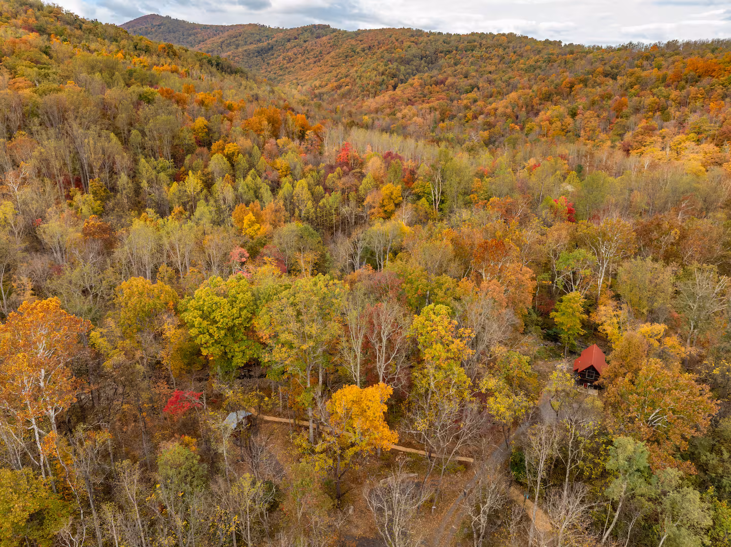 Rainforest Pod thumbnail 8