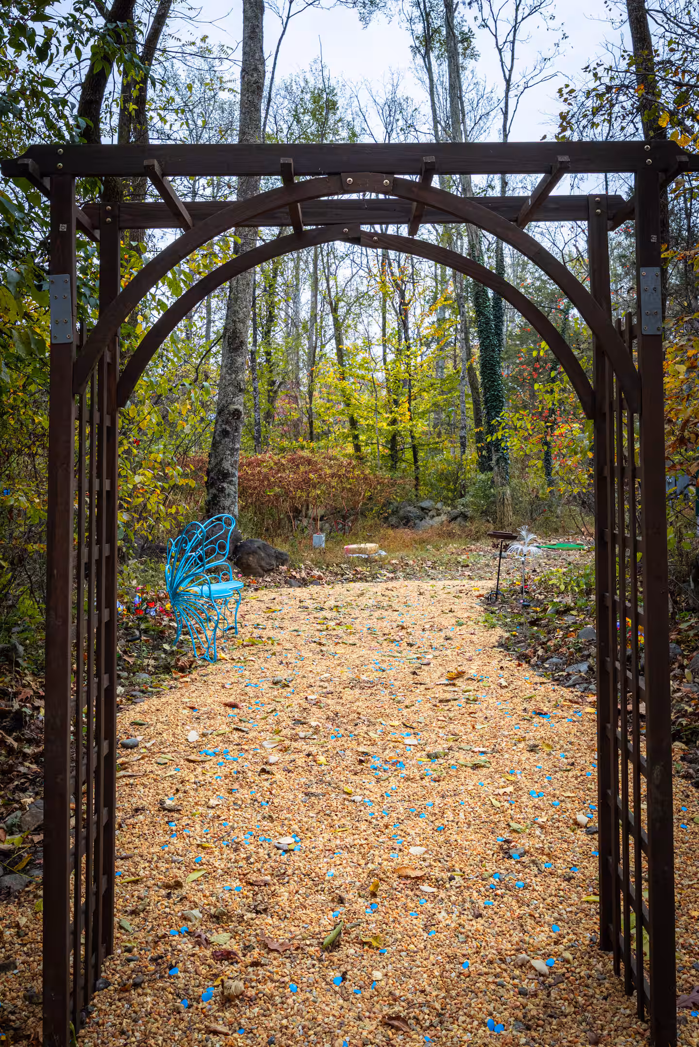 Rainforest Pod thumbnail 7