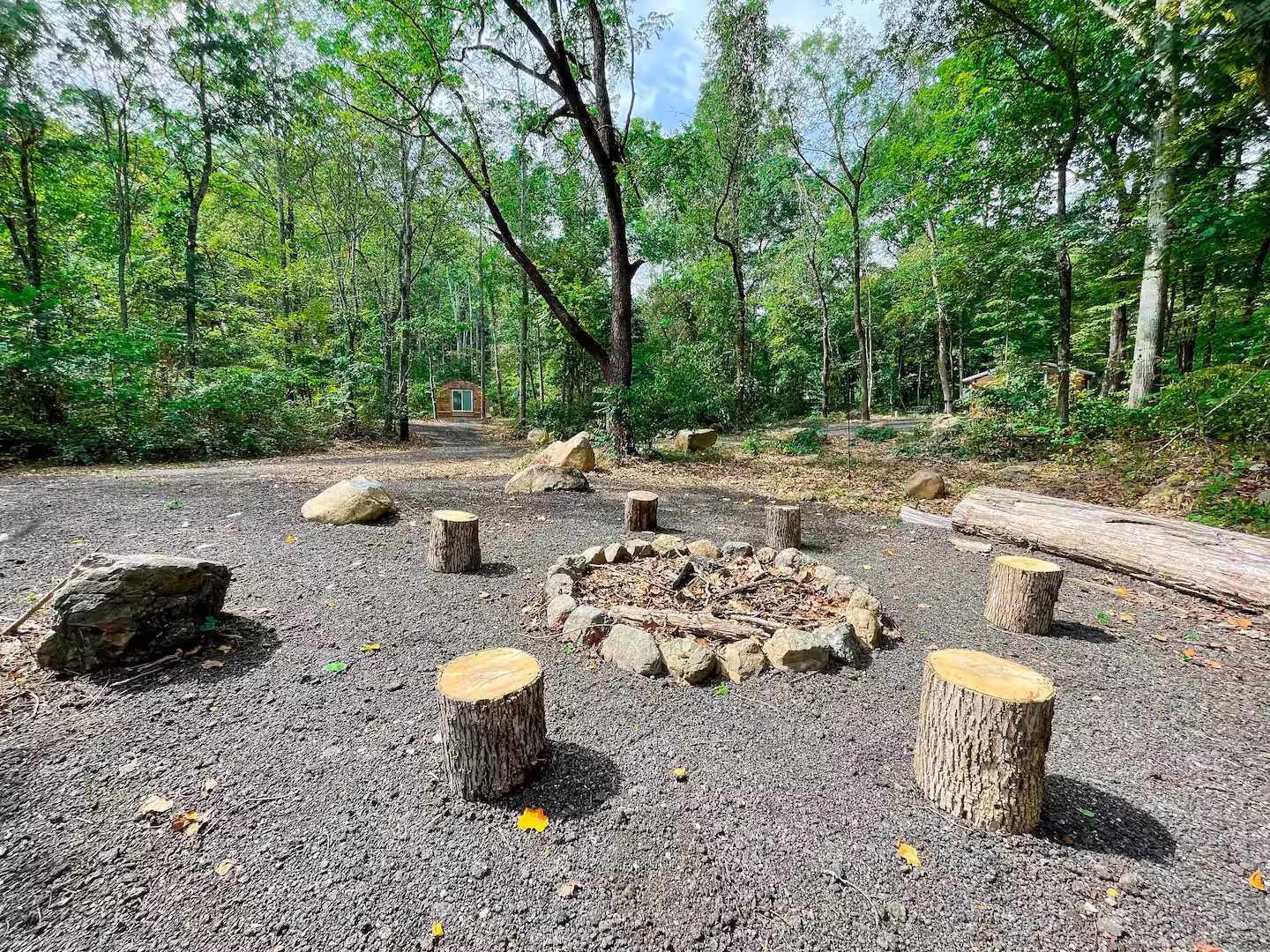 Rainforest Pod thumbnail 6