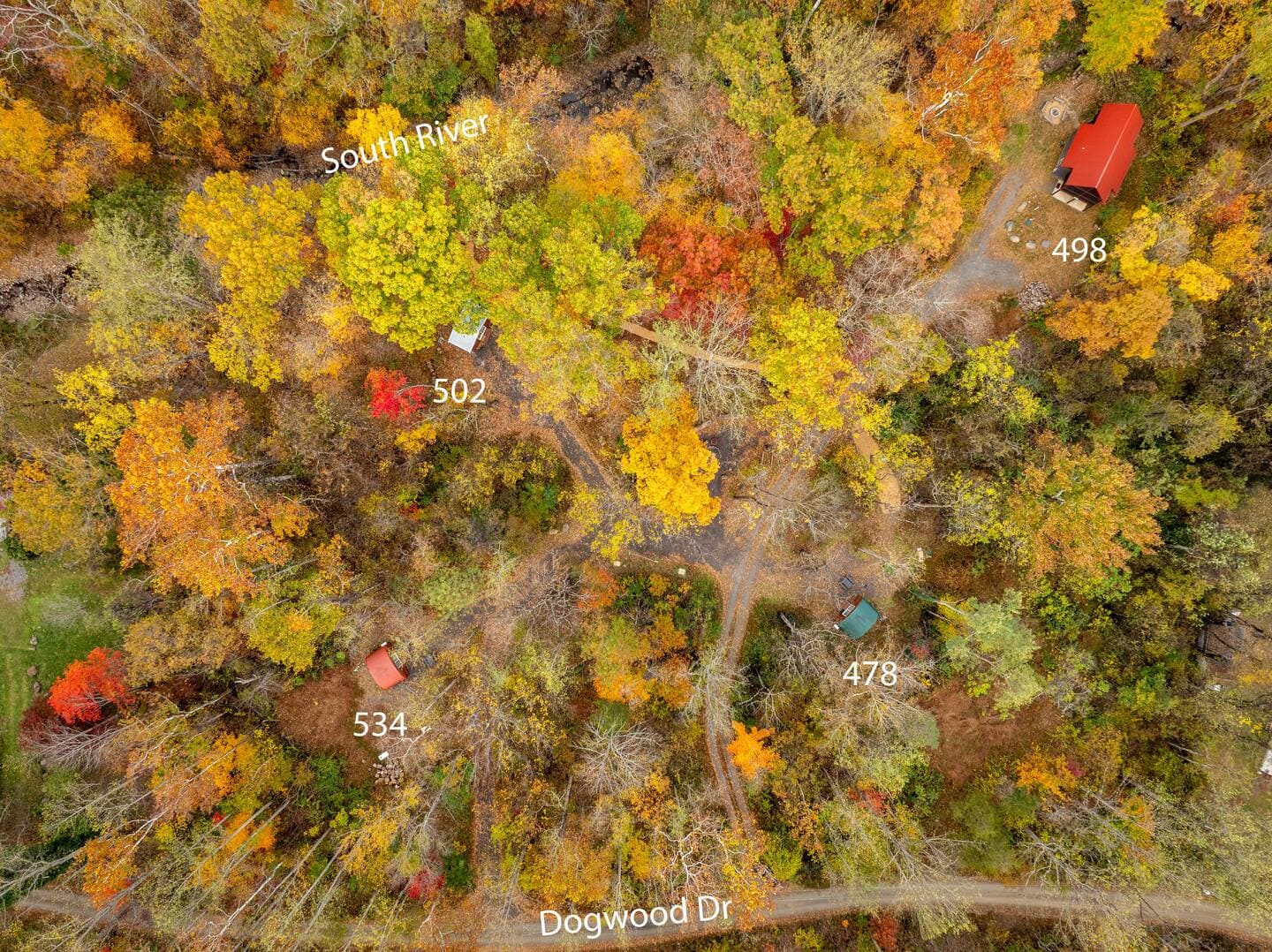 Rainforest Pod thumbnail 9